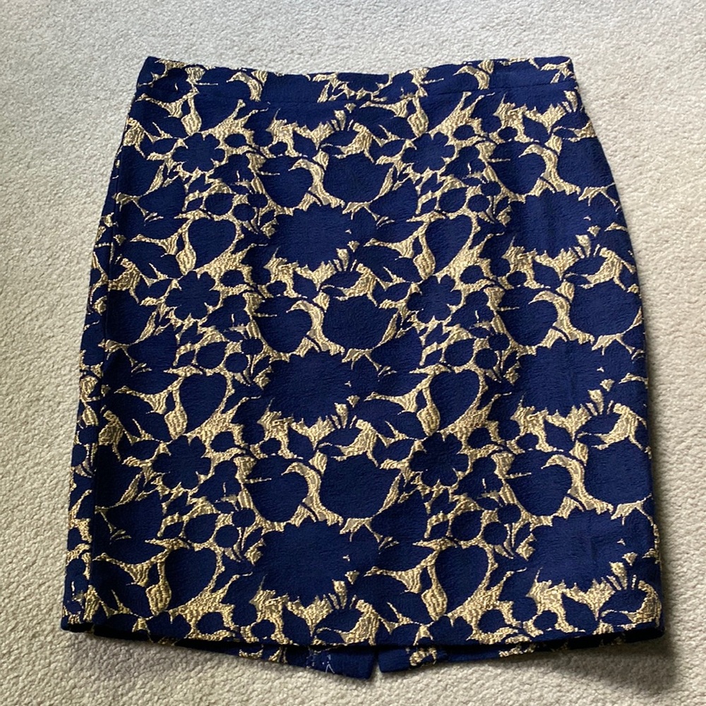 J.Crew Skirt